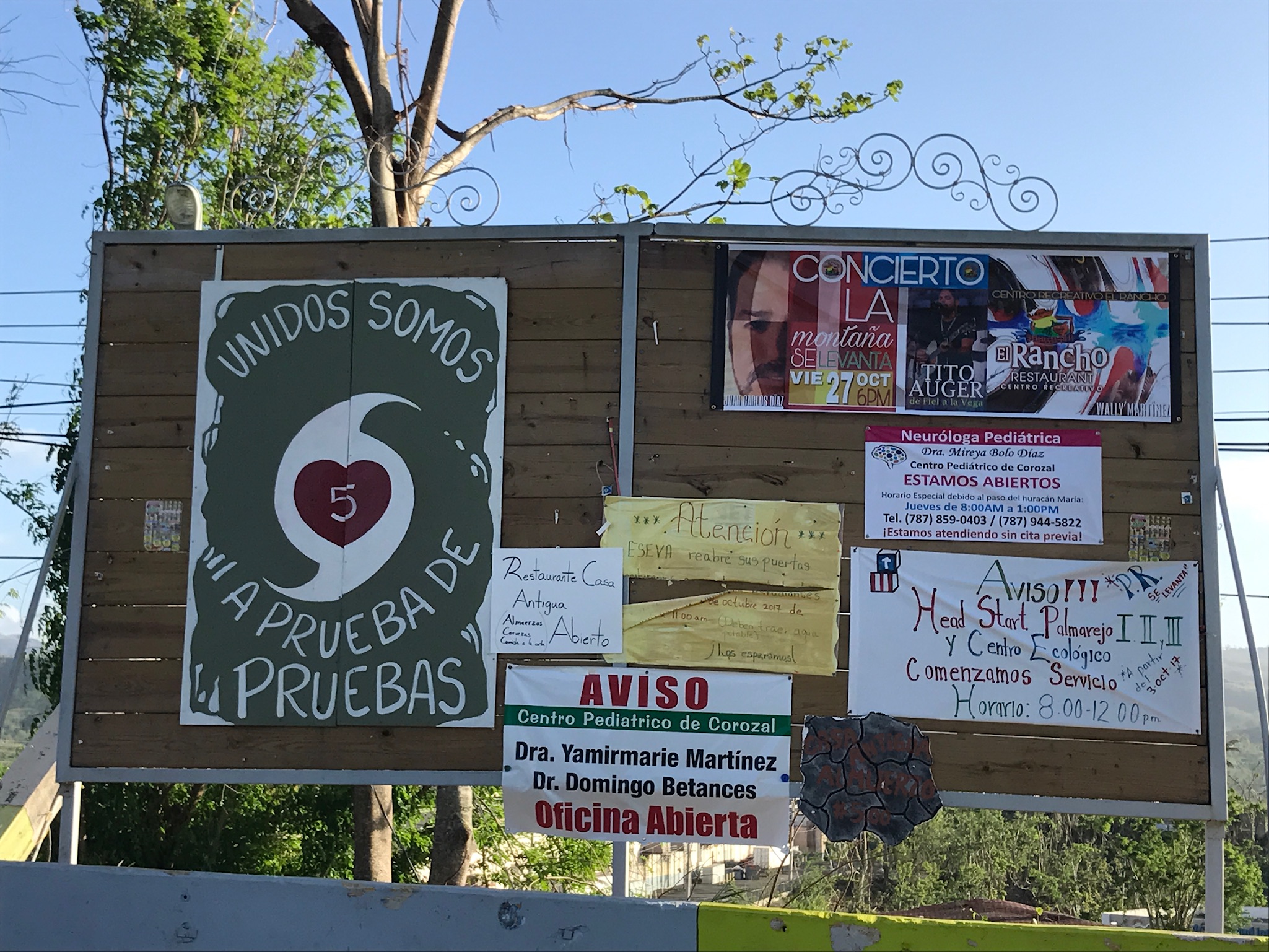 A billboard with several posters tacked on it.