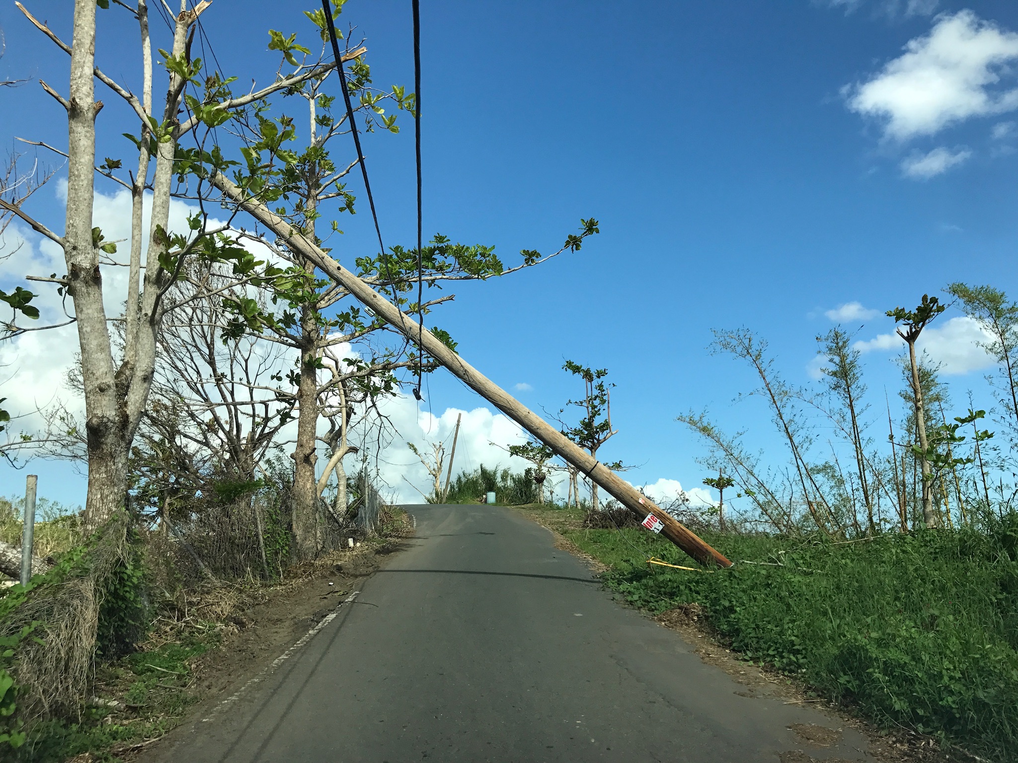 A utility pole fell over a road